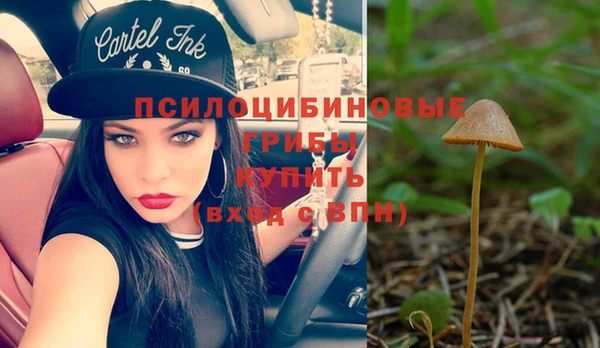 mix Магас