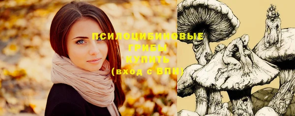 герыч Майский