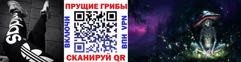 Купить закладки  Дудинка  Псилоцибиновые грибы ЛСД 